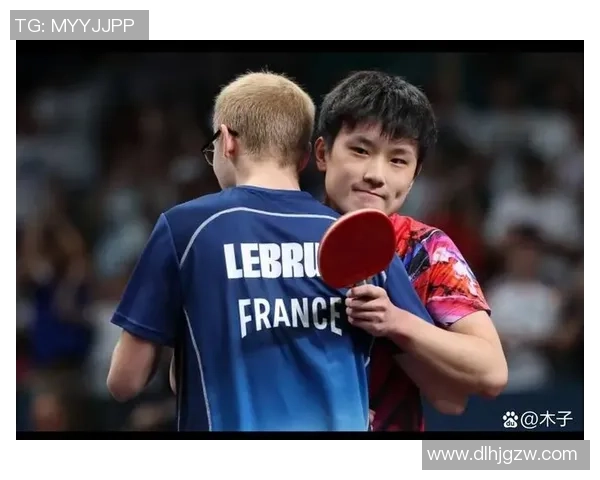 乒乓球精彩对决荷兰队与日本队的巅峰较量即将上演