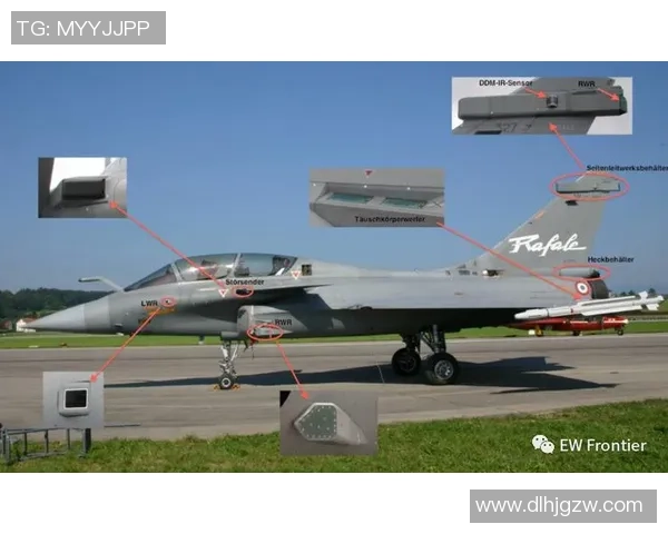 夏普与亚特兰大对决分析球队实力与战术策略全解析