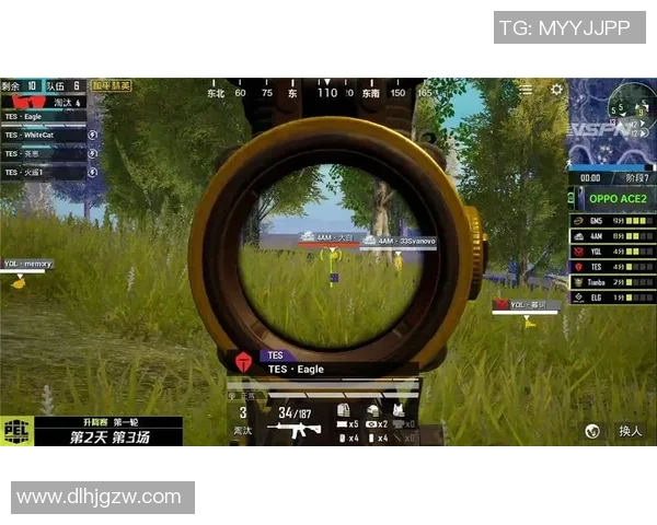 和平精英引发热议TES战队意识争议背后的深层次原因分析