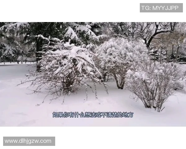 武汉乒乓球队防守战术解析与热点动态深度剖析