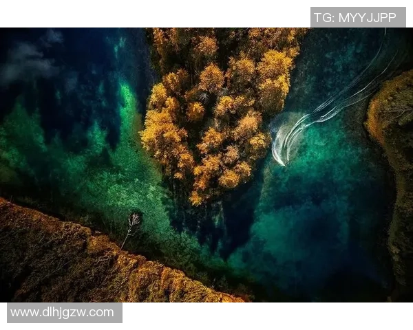 杭州极限运动队引领潮流最新极限运动TOP10精彩呈现